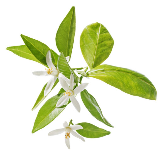 Neroli